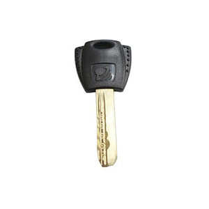 Telescopic Pin Key With Plastic Head E101