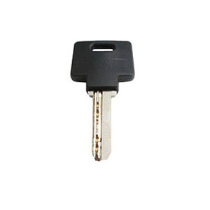 6 Pin Tumbler Key With Plastic Head E103