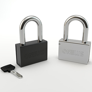 High Security Padlock TS Series