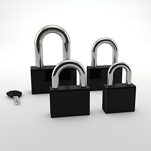 Security Padlock - TS Series